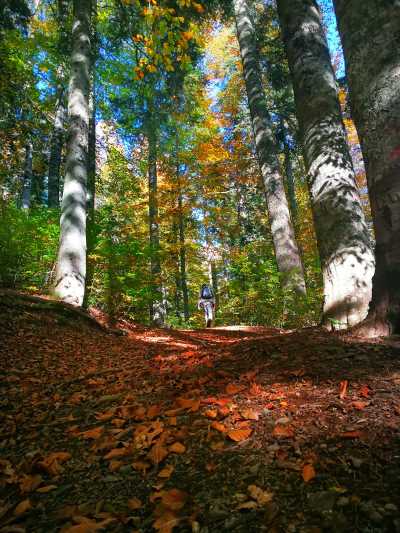 Düzce Yürüyüş Parkurları